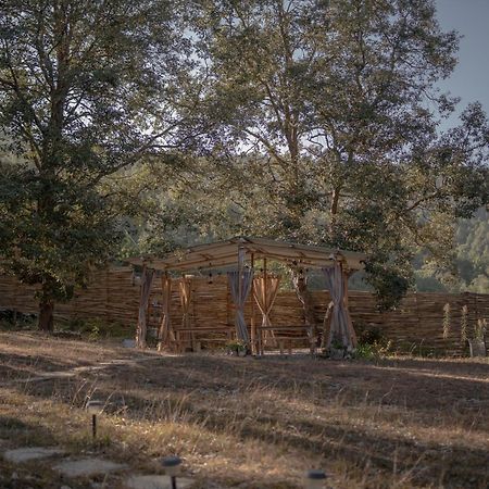 Nayalap - Rural Himalayan Glamping 호텔 Shitlakhet 외부 사진