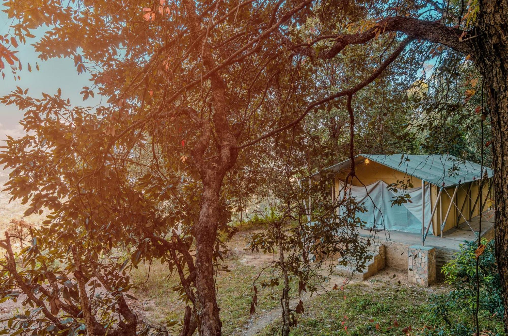 Nayalap - Rural Himalayan Glamping 호텔 Shitlakhet 외부 사진